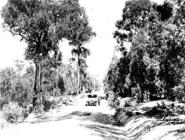 image29
