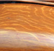 image03